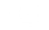 糖心LOGO入口观看電纜